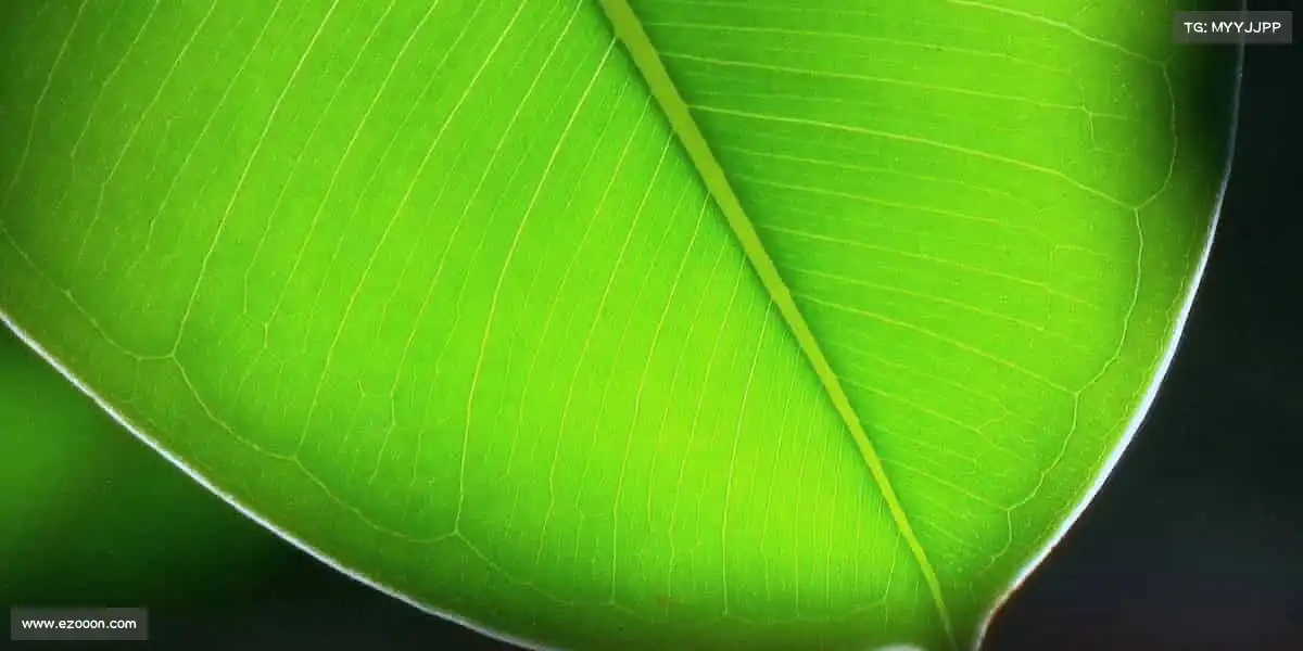 我们的品牌价值